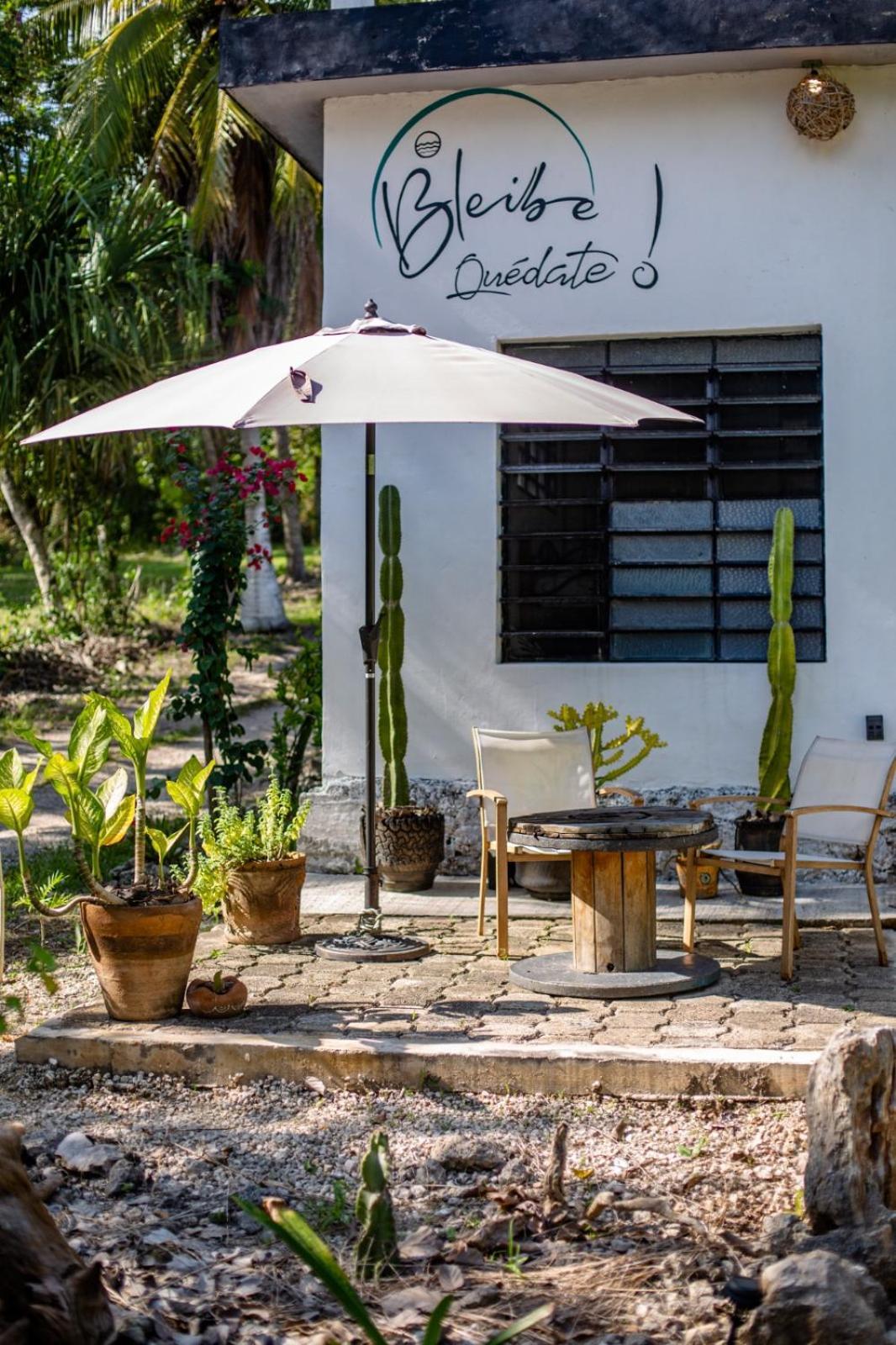 Bleibe- Quédate! Bacalar Extérieur photo